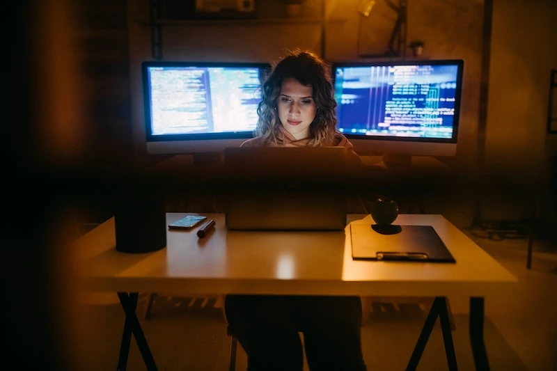 Managing Your Companys IT Shadows Managing Your Companys IT Shadows