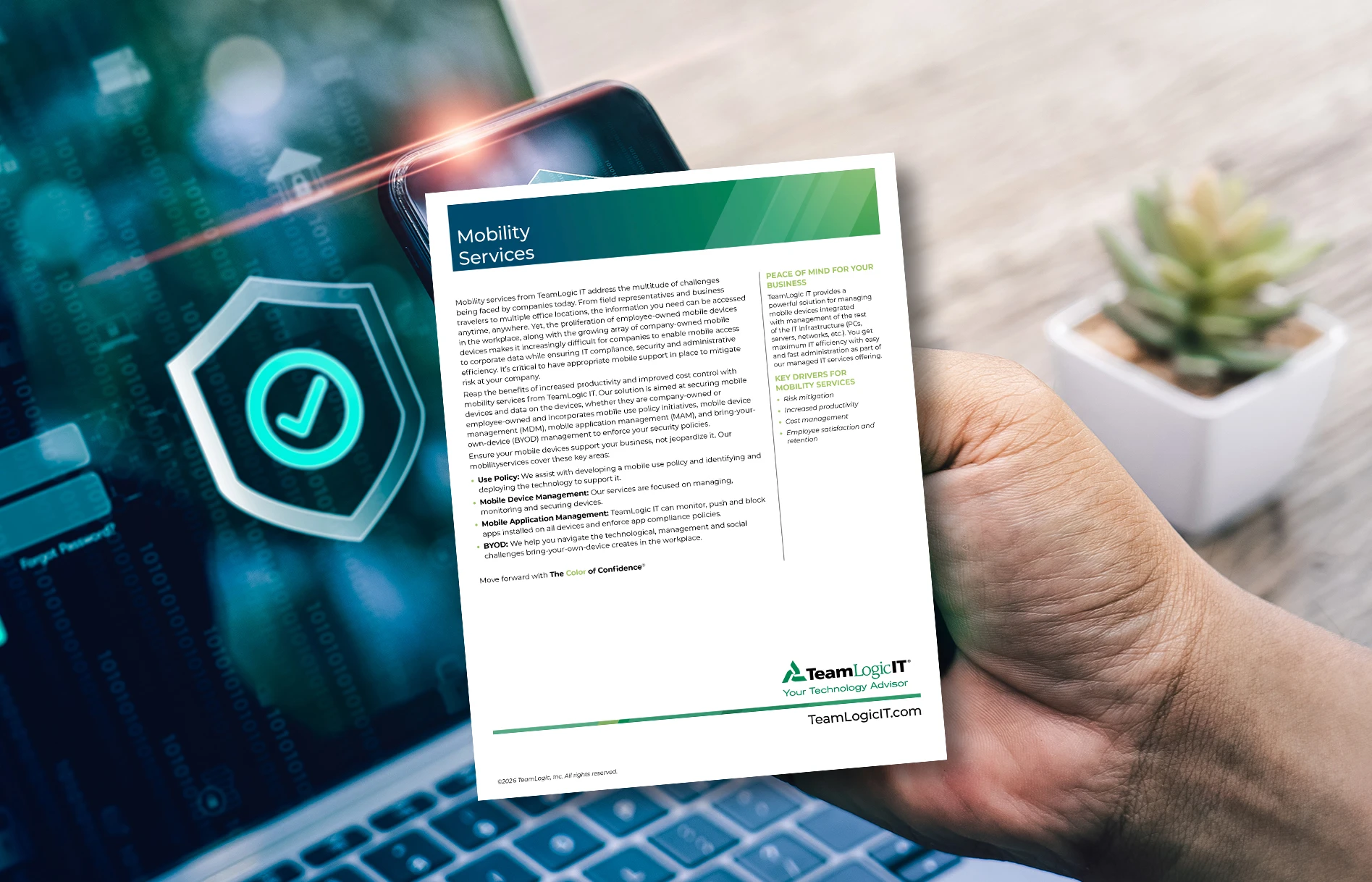 Infosheet - Mobility Services Item